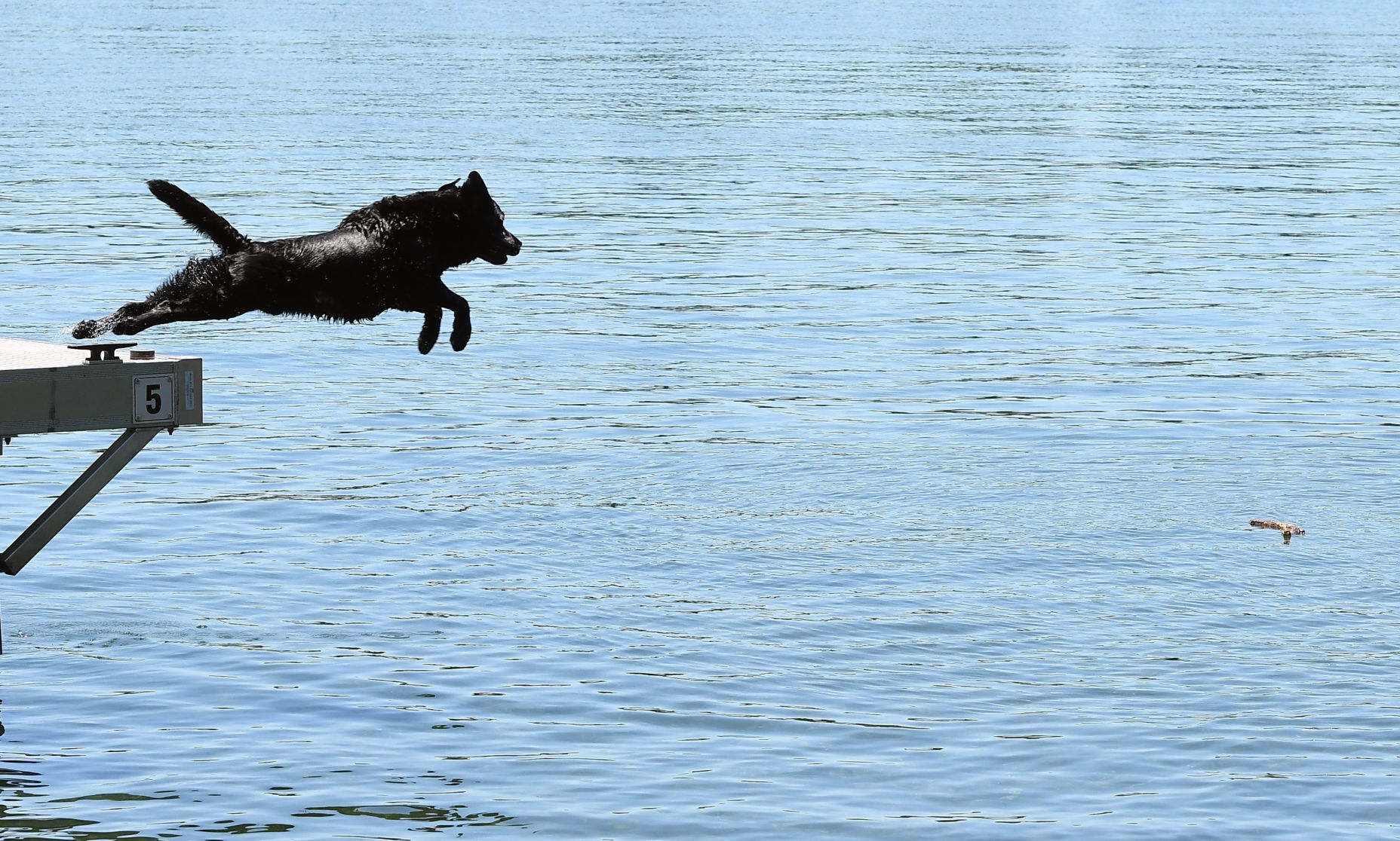 Fetch 2